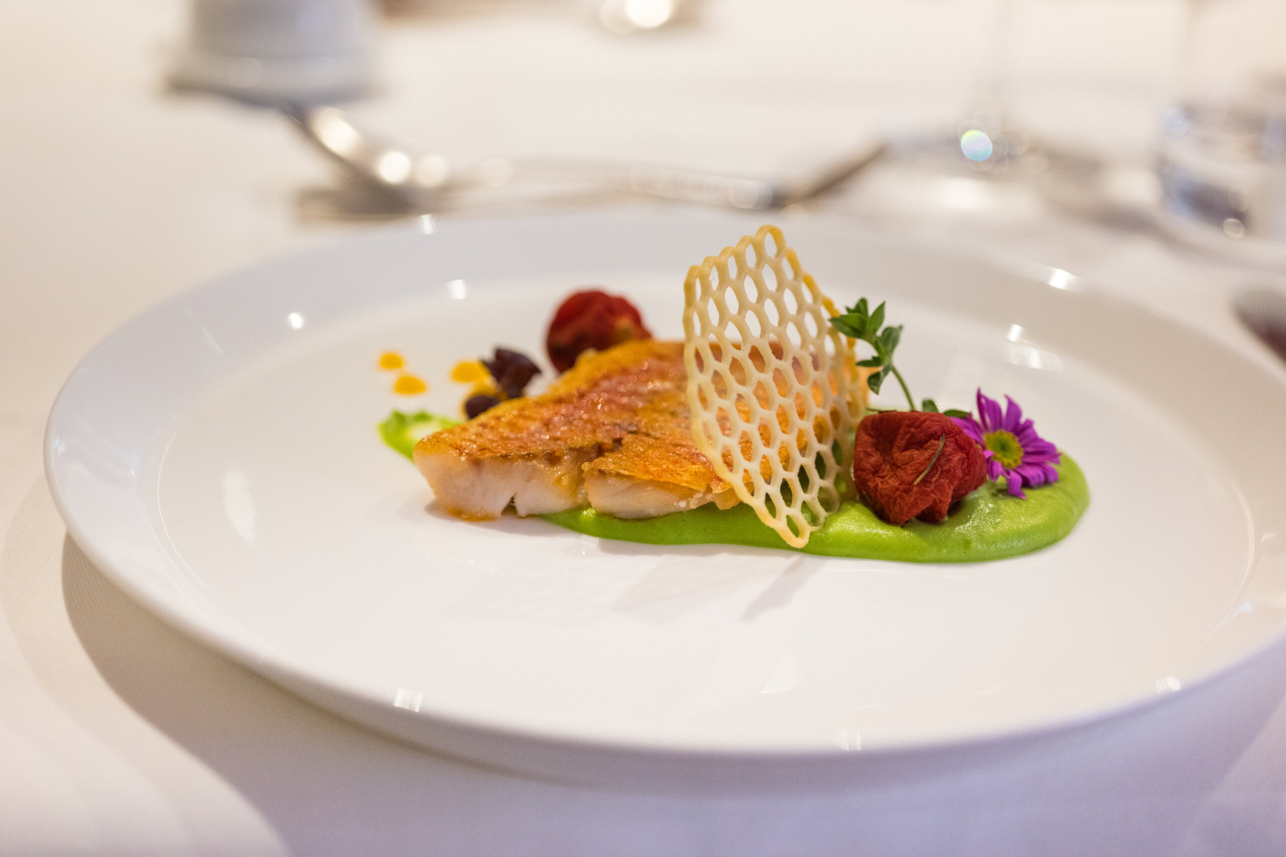 Gericht mit Fisch und grüner Soße - 5 Sterne Hotel Mirabell Dolomites in Olang