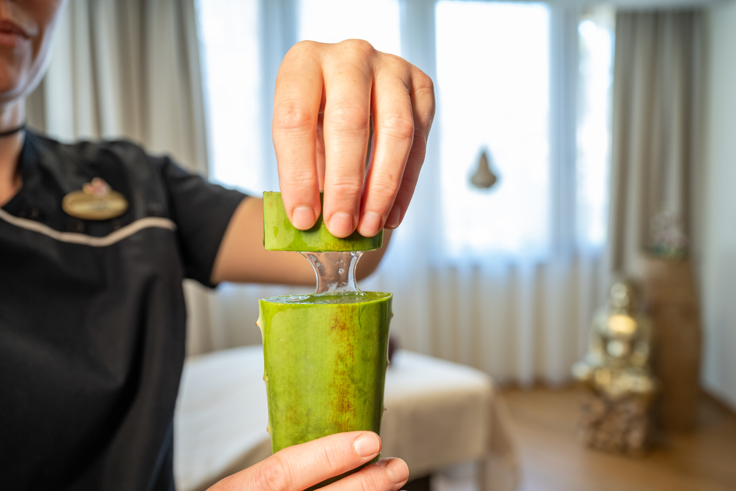 Detailaufnahme Aloe Vera Gel - 5 Sterne Hotel Mirabell Dolomites in Olang