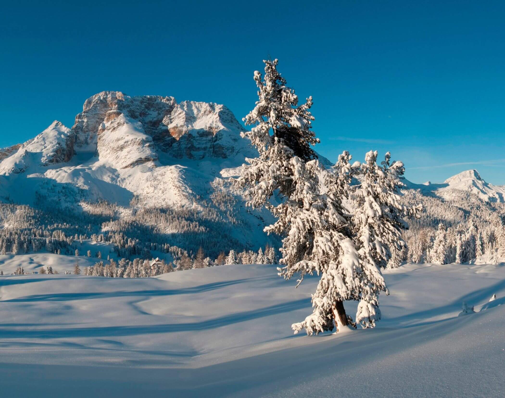 Alberi e montagne con la neve - Hotel Mirabell Dolomites 5 stelle a Valdaora