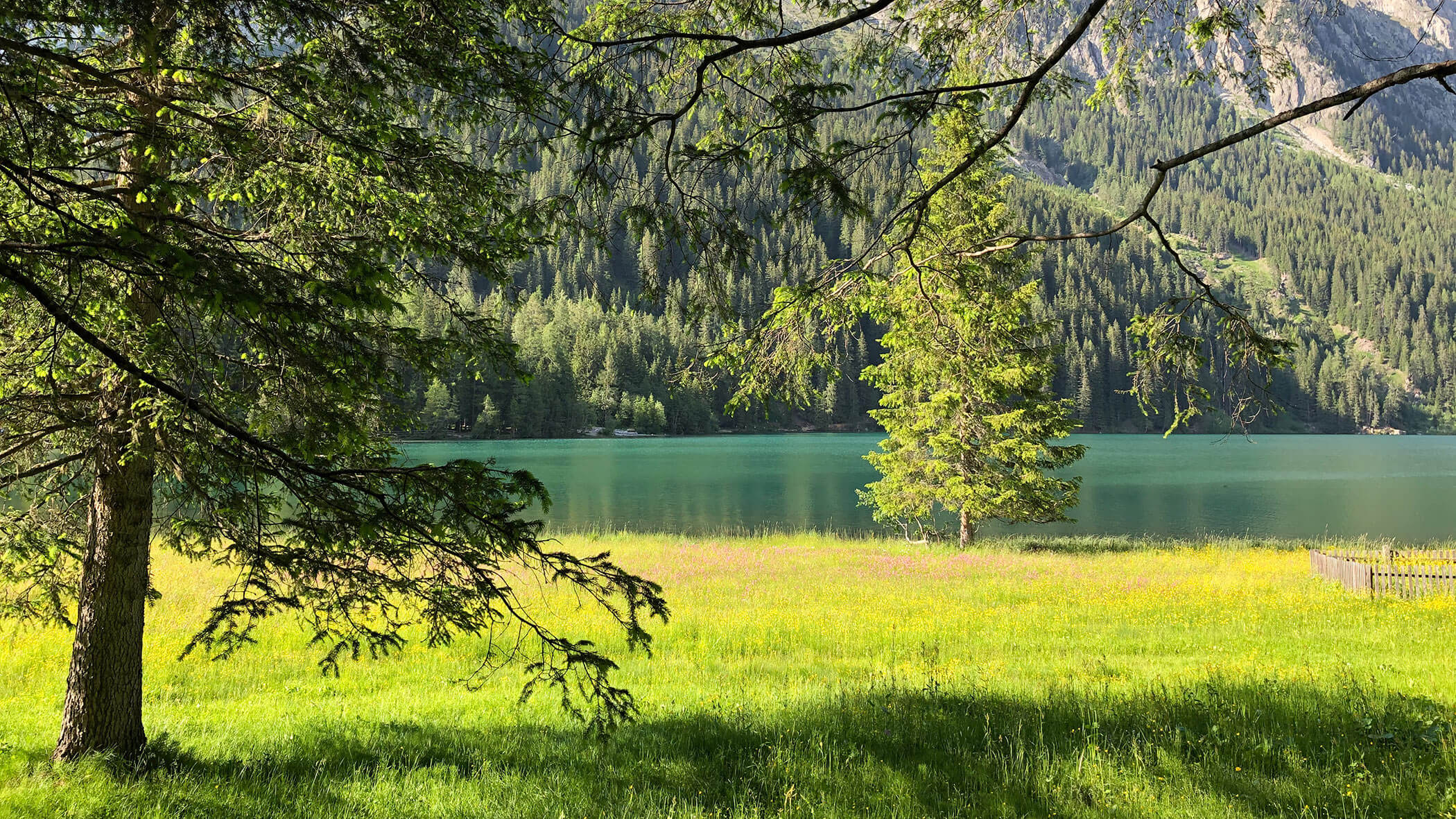 Meadow near the lake - Hotel Mirabell Dolomites 5 star in Valdaora