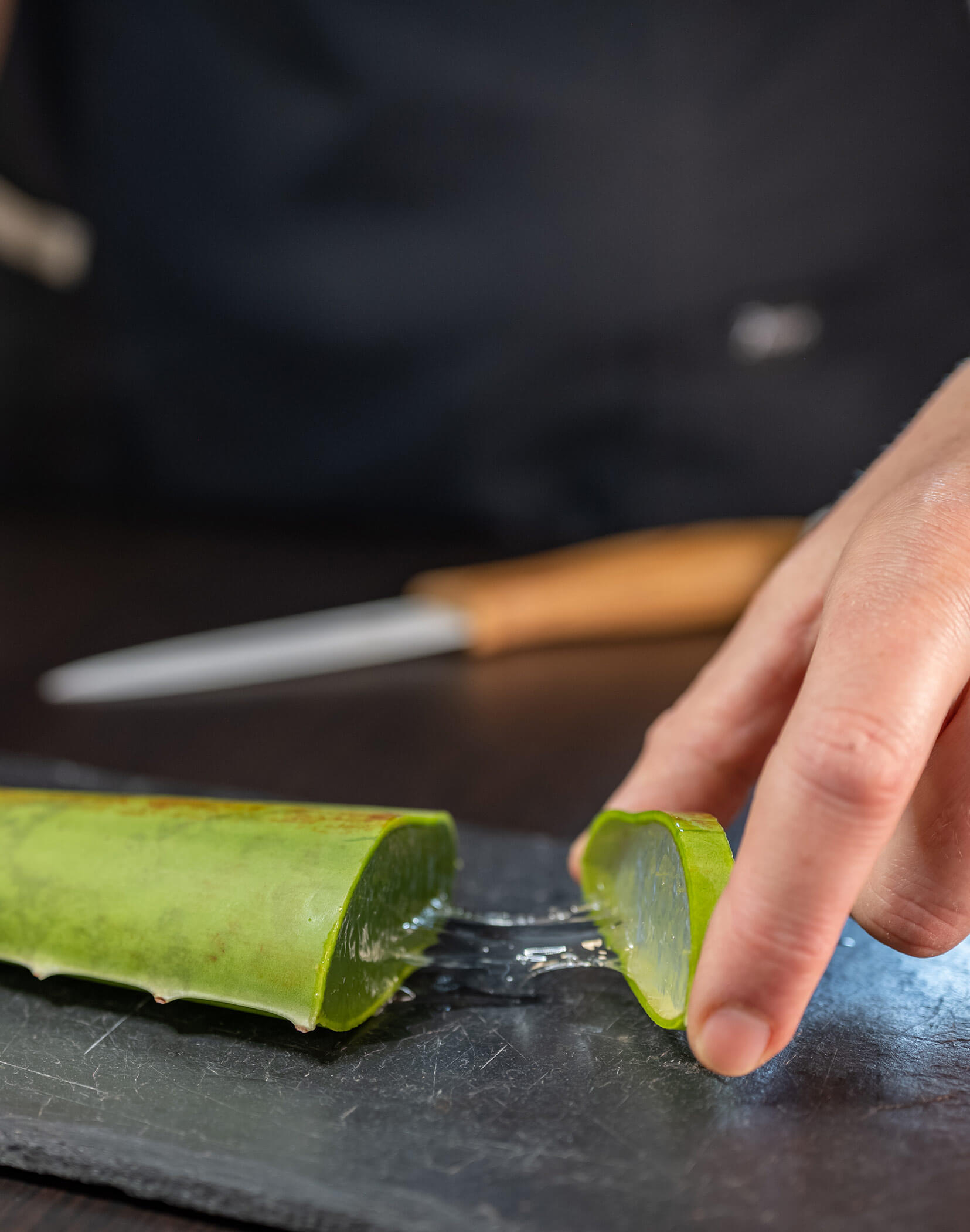 Aloe Vera - Hotel Mirabell Dolomites 5 stelle a Valdaora